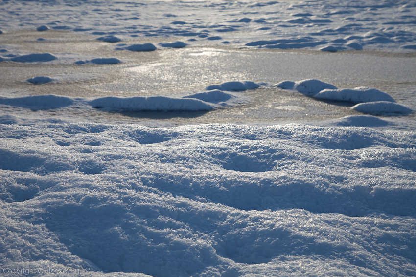 Frozen Lake