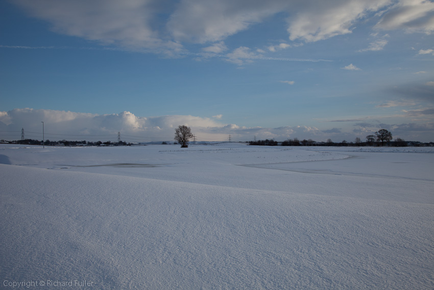 Snowy Scene