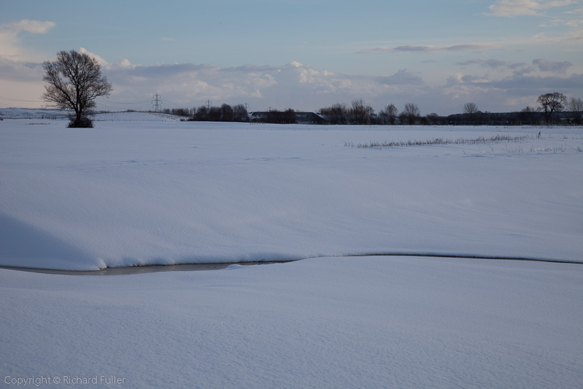 Snowy Scene