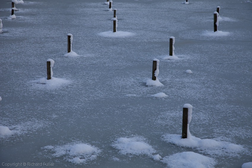 Frozen Lake