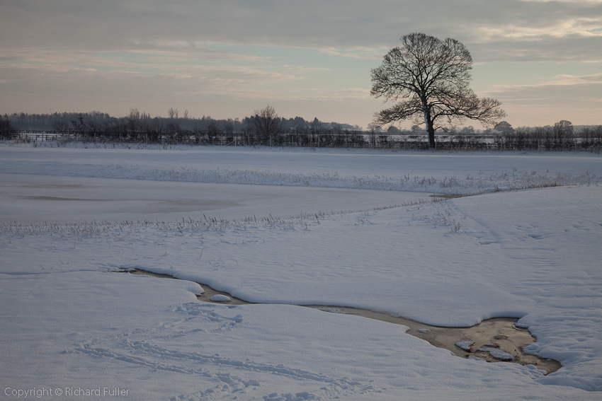 Snowy Scene